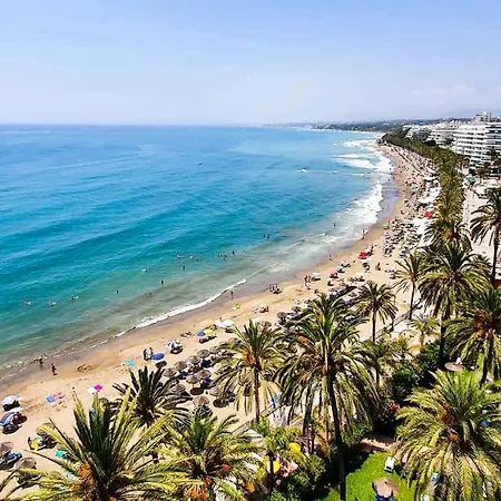 Skol 715. Spectacular Corner Duplex In Apartamento